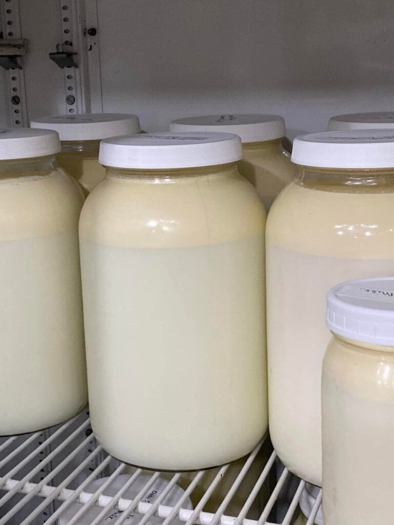 Milk 3 768x1024