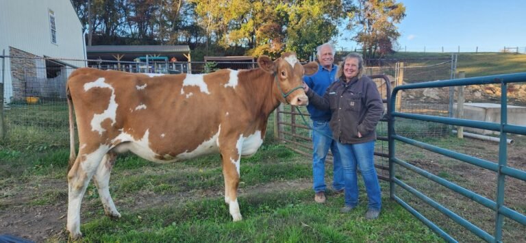 Jim Torre and Bebe 768x355